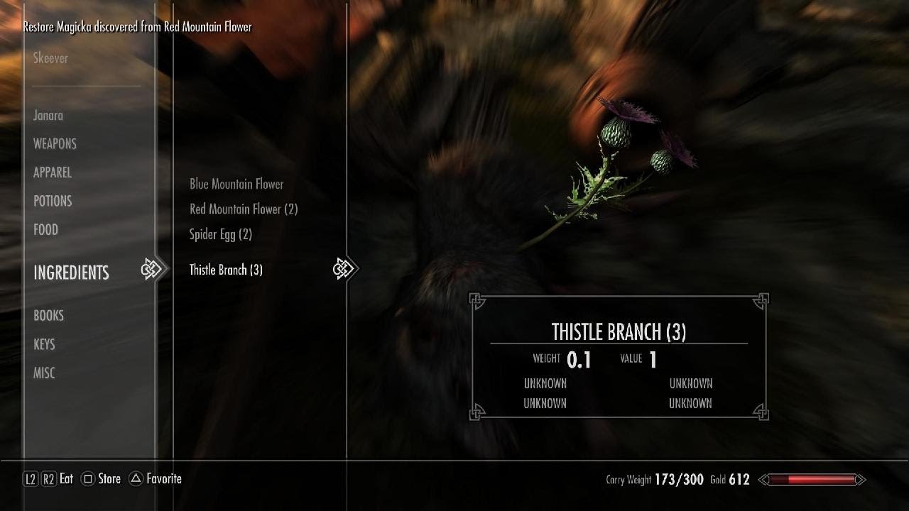 Skyrim | The Start of a New Journey | The Golden Claw