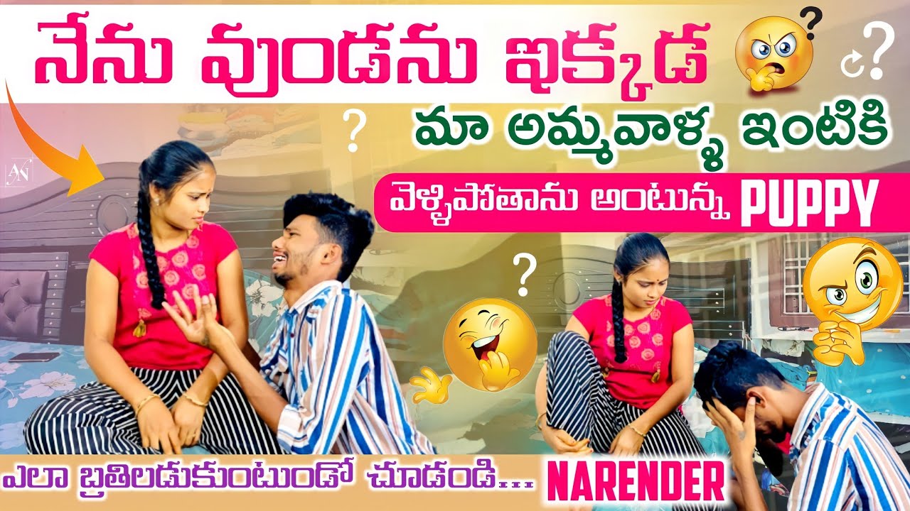 Ma అమ్మ వాళ్ళ ఇంటికి వెళ్ళిపోతాను అంటున్న Puppy Sorry Chepina Narender🥺🤧😒