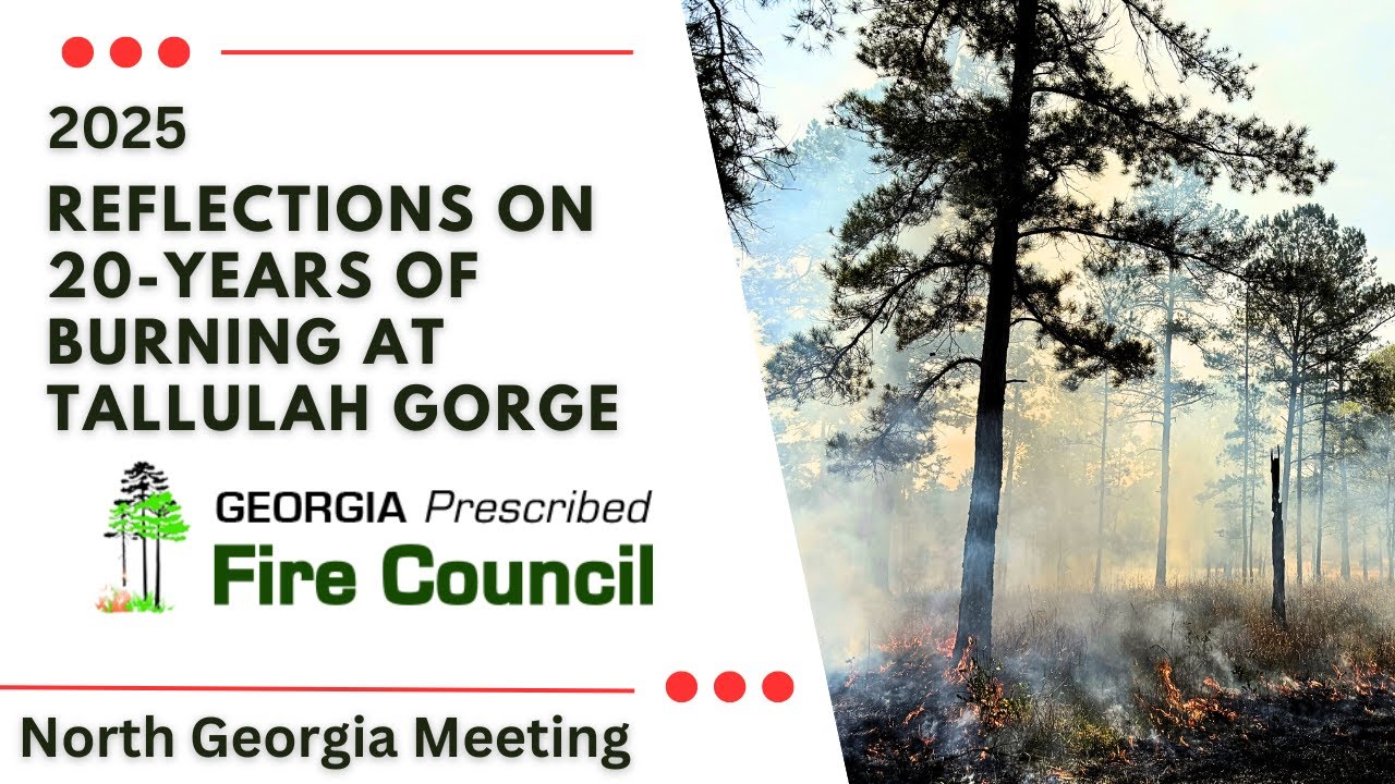 Reflections on 20-Years of Burning at Tallulah Gorge - Nathan Klaus, Georgia DNR