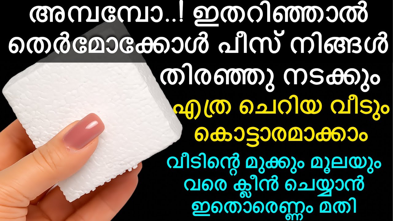 വെറുമൊരു തെർമോക്കോൾ പീസ് കൊണ്ട് ഇത്രയൊക്കെ ഉപകാരങ്ങളോ |Best tips and tricks