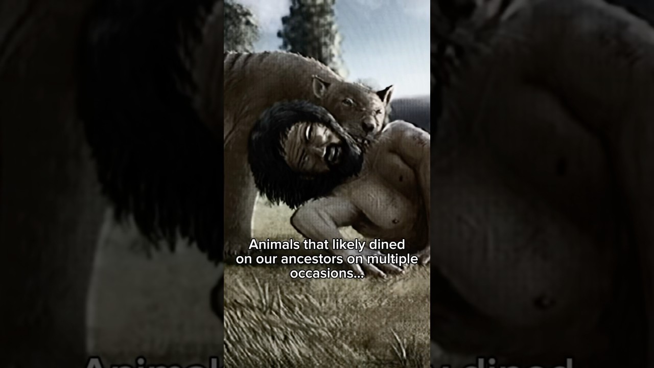 Animals that would have eaten early humans for breakfast #prehistoric #iceage #earlyhumans