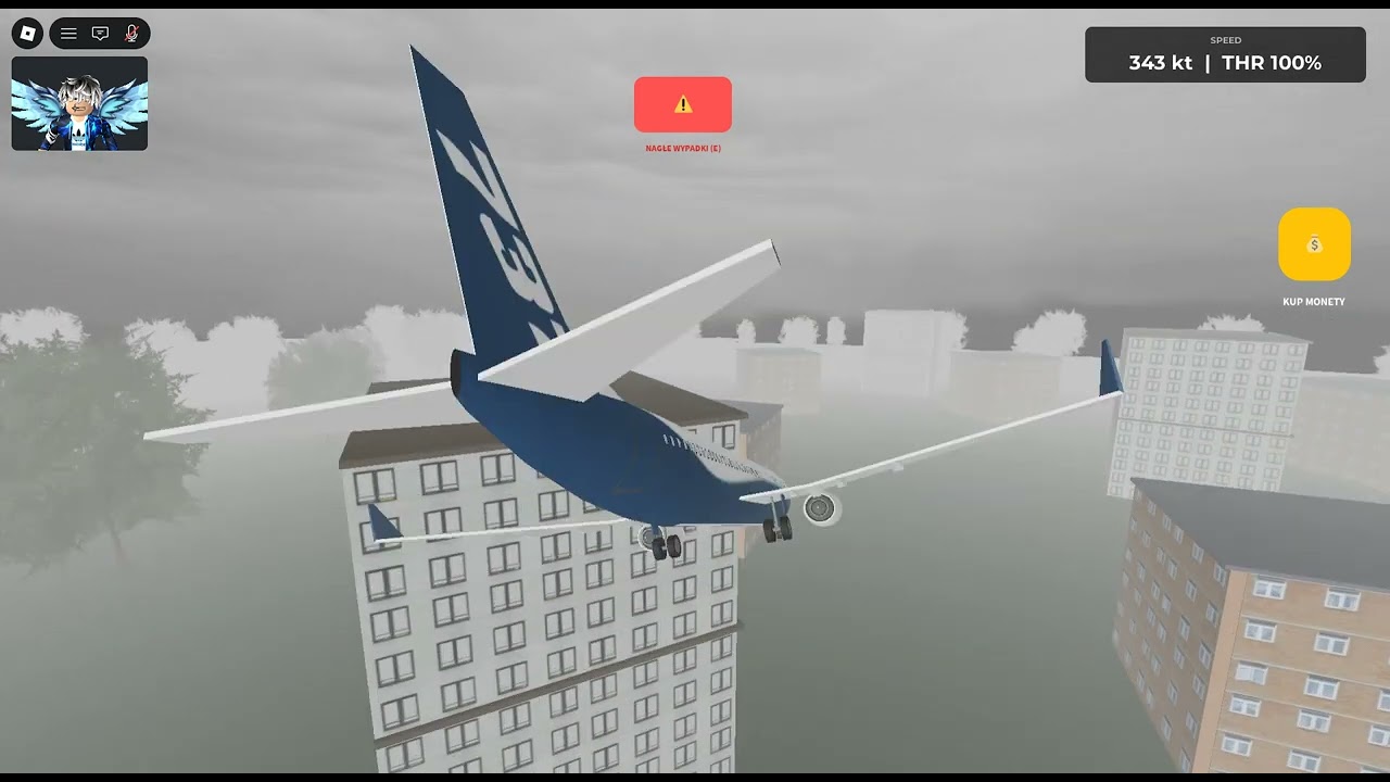 robie katastrofy samolotu 737