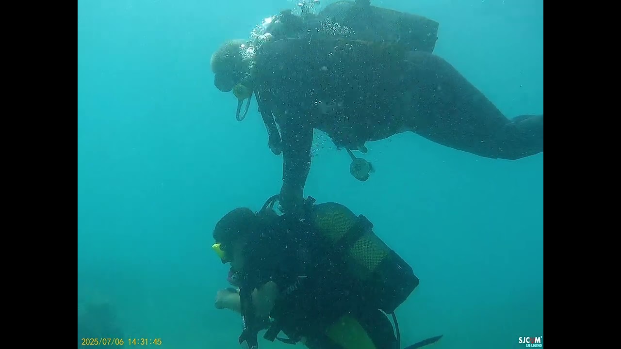 Dalış.. Huzurun kalbine seyehat. Müziğe ihtiyaç duymayacağın başka bir dünya.