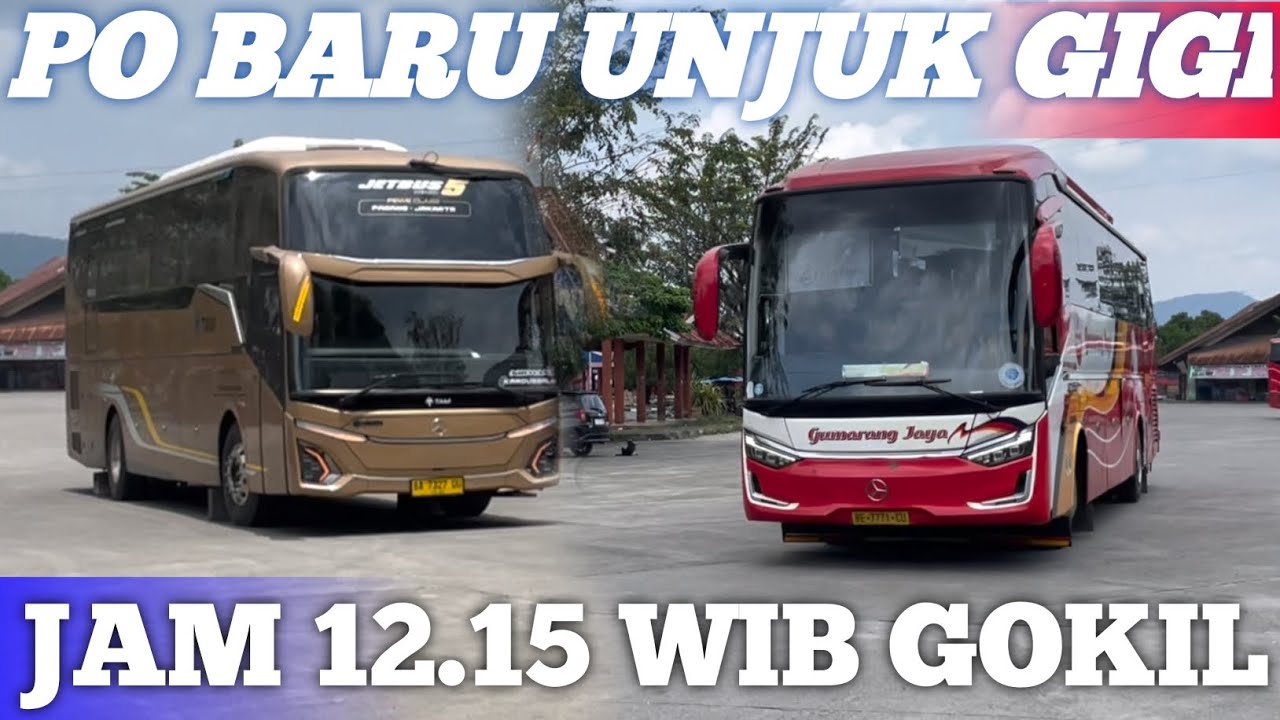 Jam 12 15 wib gokil luar biasa po pendatang baru langsung unjuk gigi masuk cepat 
