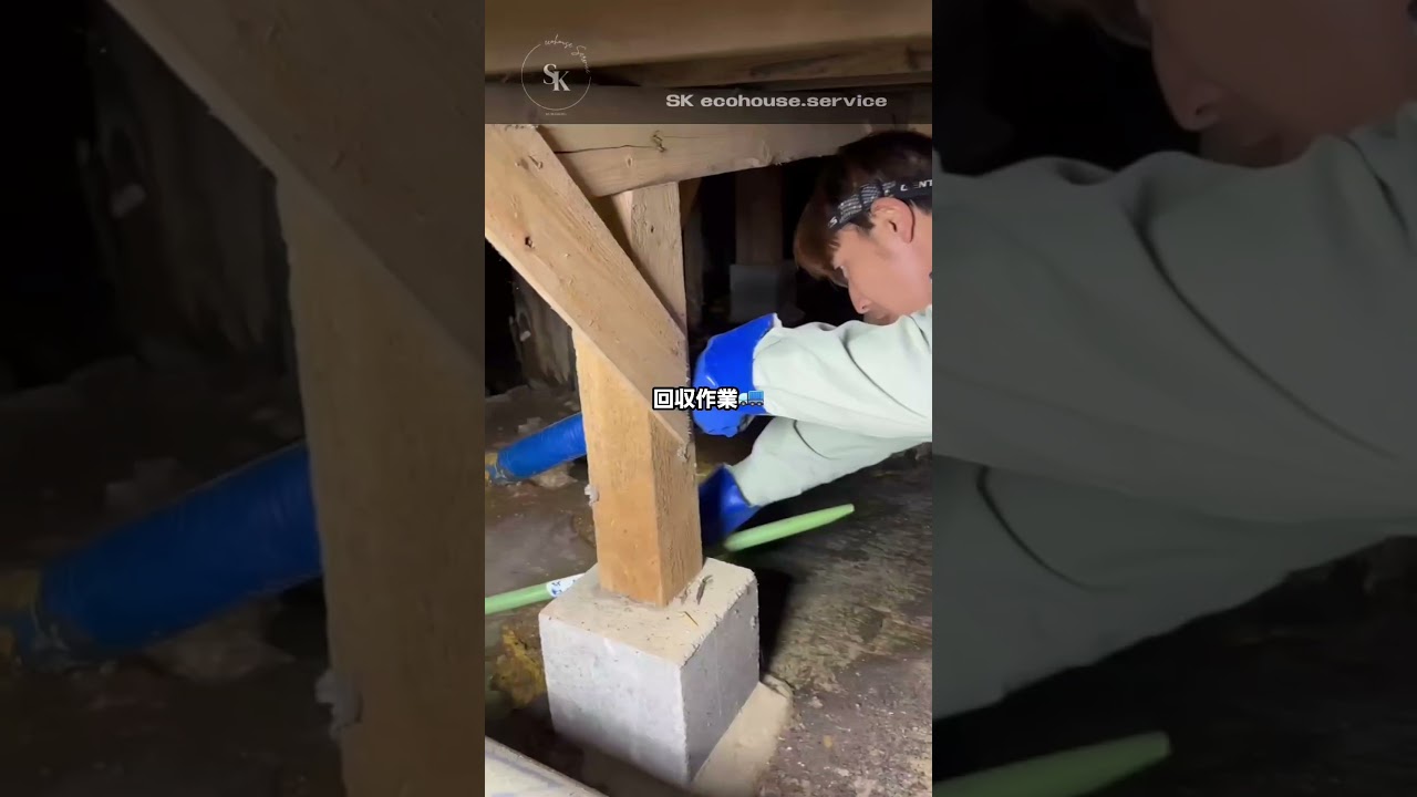 侵入せいこーう🥷