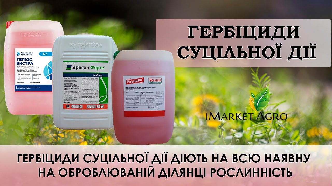 Гербіциди суцільної дії: Ураган Форте, Раундап Макс, Глифоган, Тотал, Гелиос, Торнадо 500, Галоп БТ.