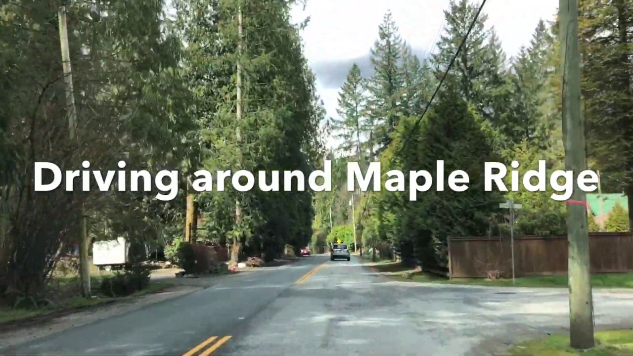Driving around Maple Ridge.