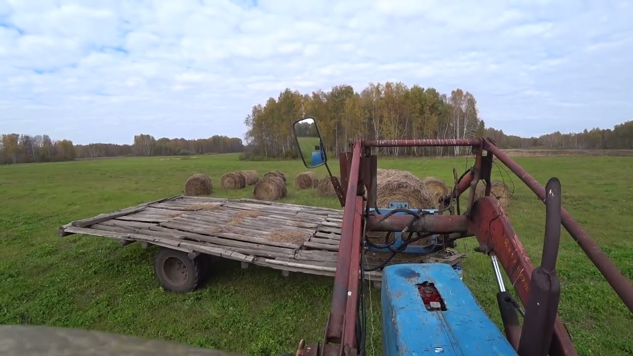 Вывожу сено с полей. Похоже у рулонов скоро будут ноги.