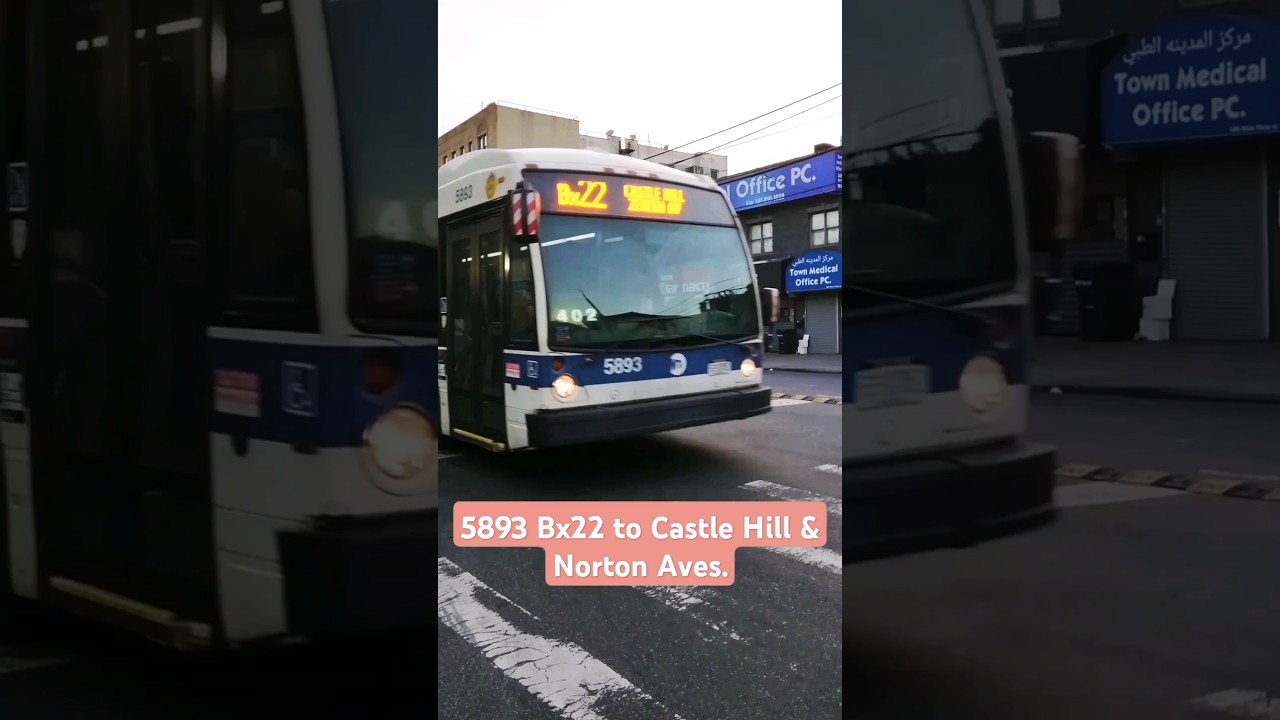 MTA NYC BUS: 5893 Bx22 @ White Plains Rd & Morris Park Ave 