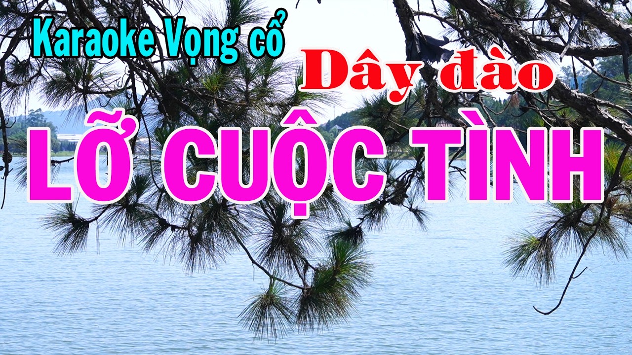 Karaoke vọng cổ LỠ CUỘC TÌNH - DÂY ĐÀO