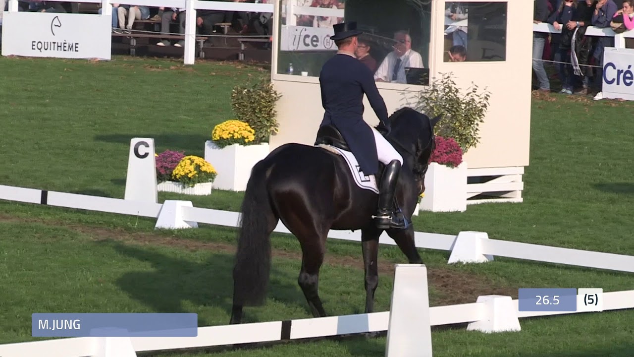 Mondial du Lion 2018 Dressage 7 yo Michael Jung CHOCLAT