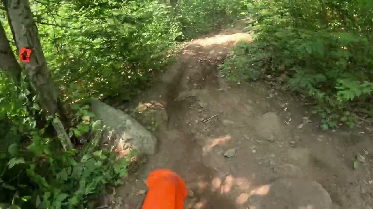 Netra Rock Crusher 2024 C-Super Senior 7th Place 50th C-Overall