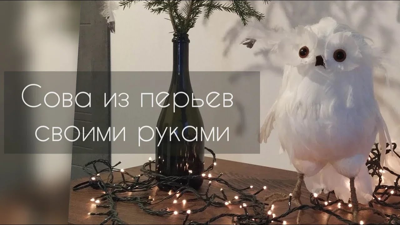 DIY Сова из перьев своими руками