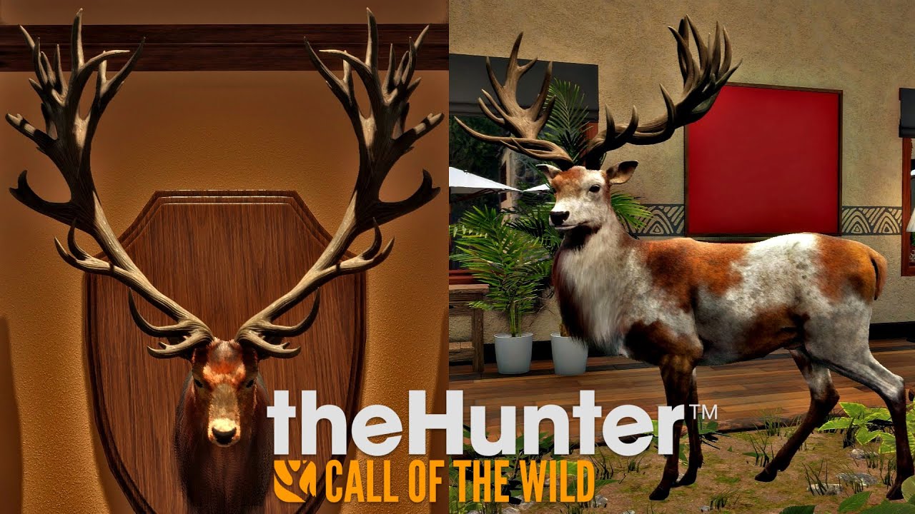 Diamonds and Rares while chasing the Great One red deer