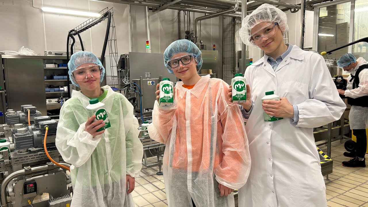 Firbcologi: jogurt