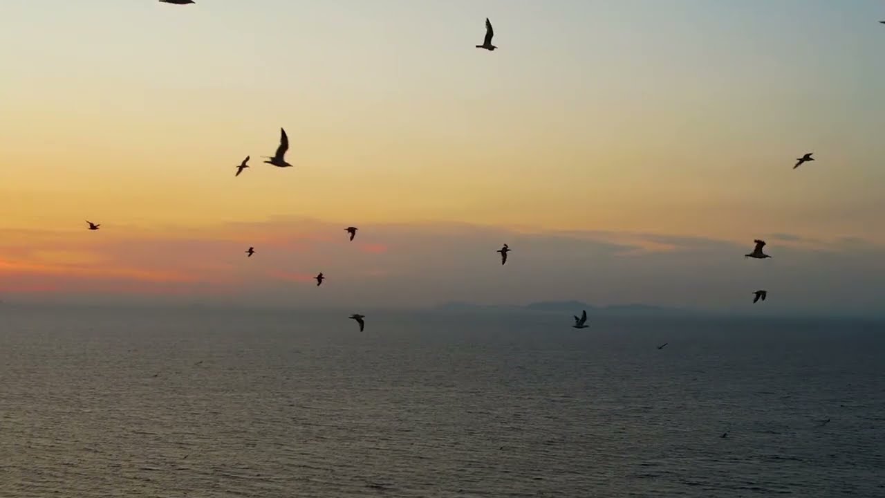 Diane Arkenstone - Elements of Nature (Official Music Video)