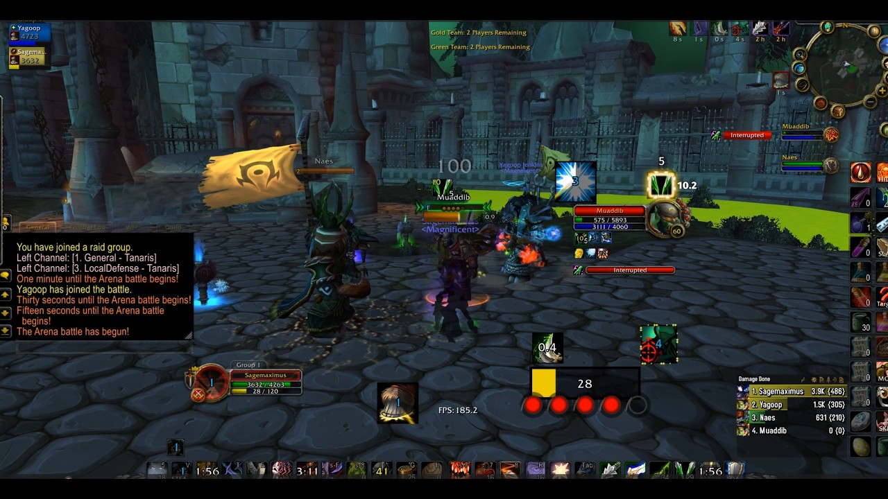 2v2 Arenas: Solo q's Magnificent Guildies [part 1]