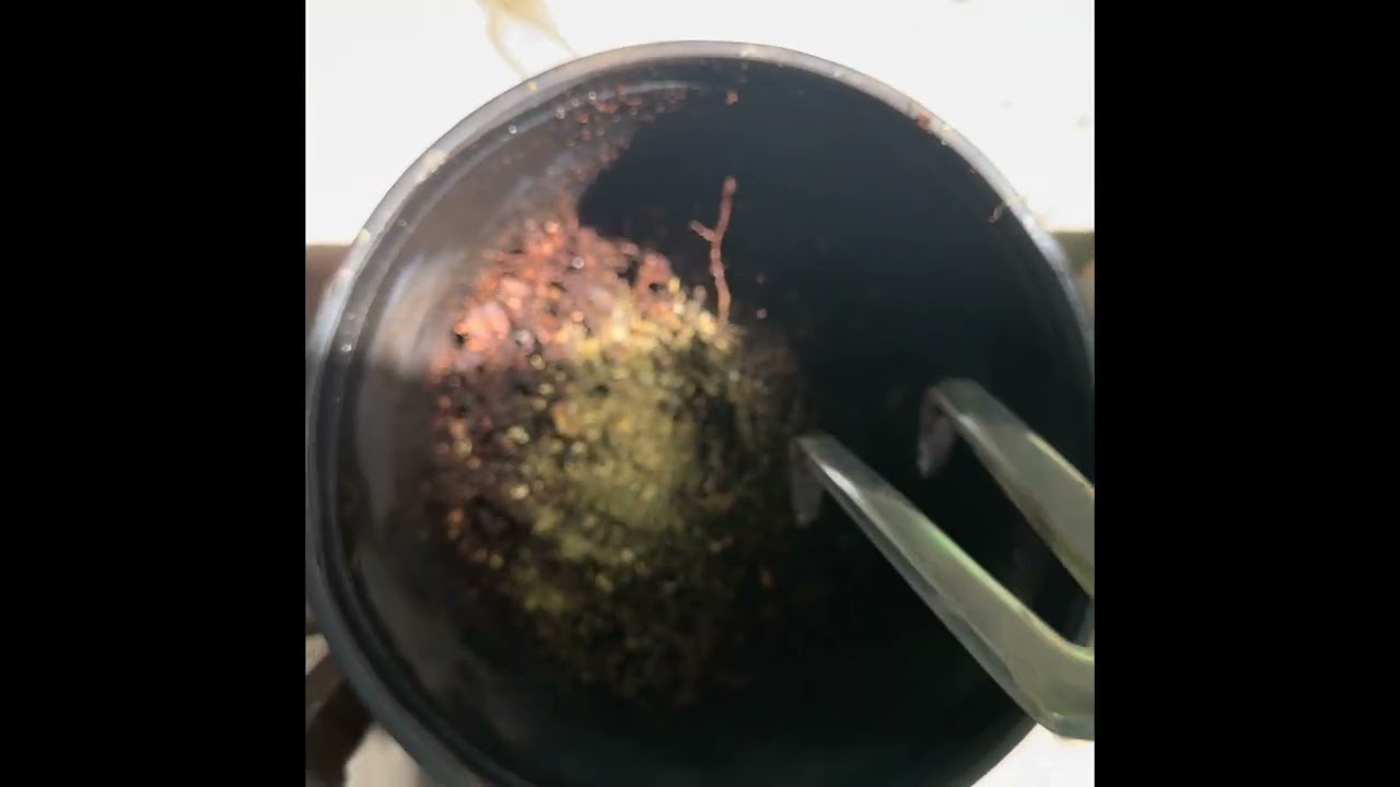 OG Kush Clones