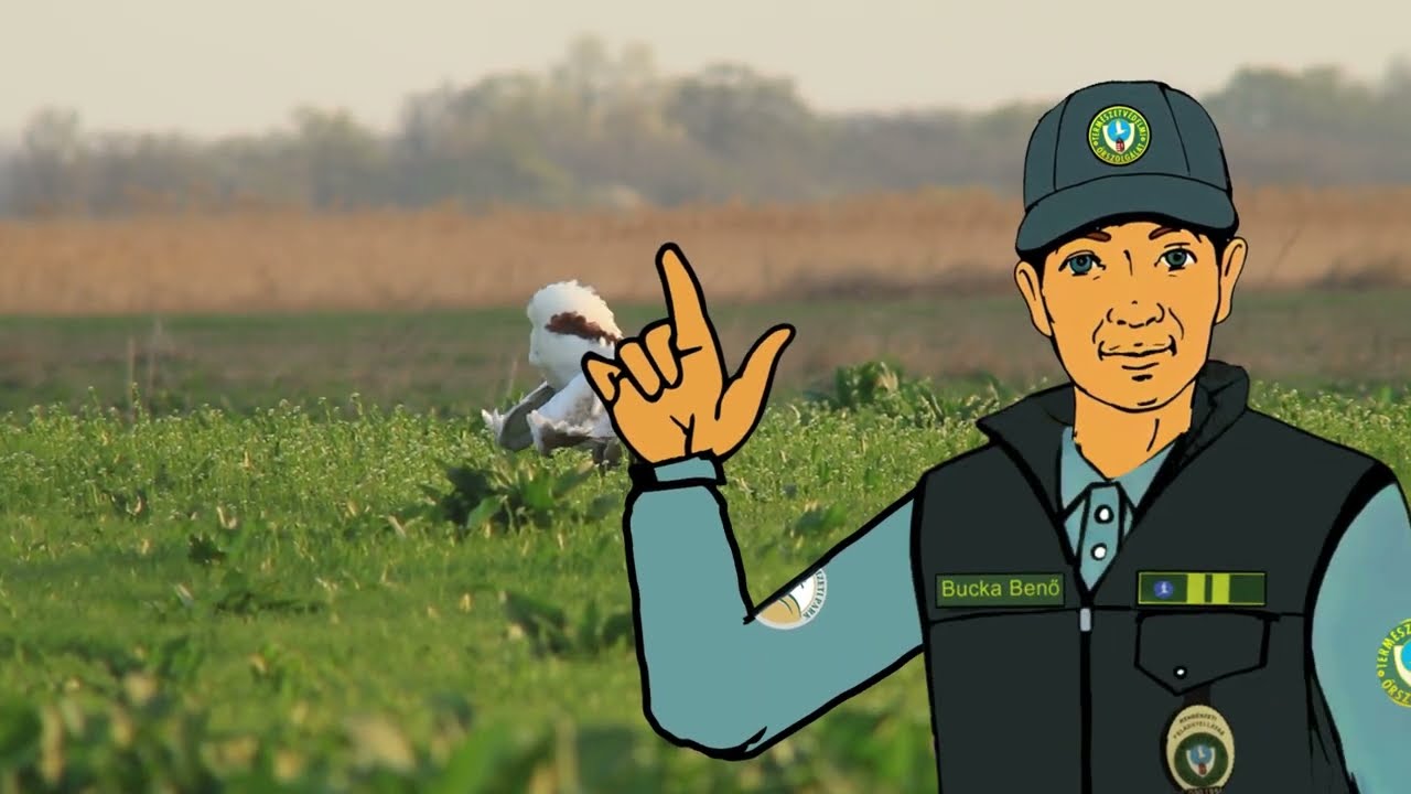 Bucka Benő meséi - A túzok