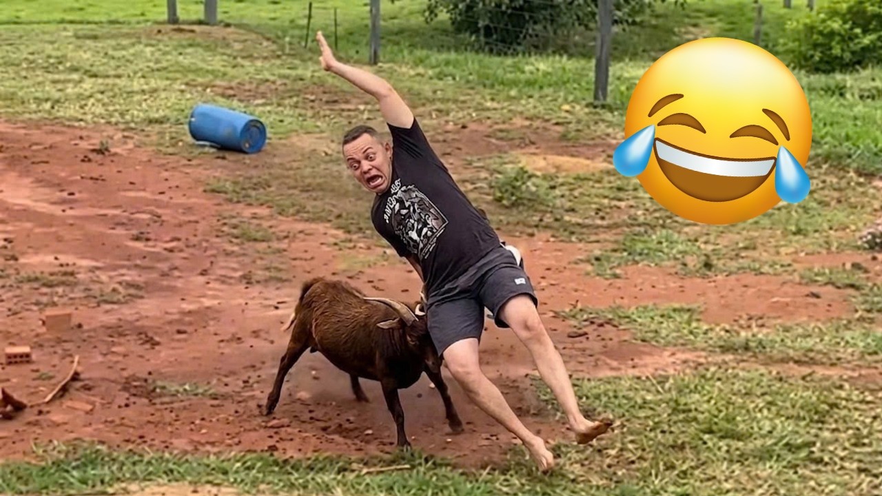TRY NOT TO LAUGH 😂 Best Funny Videos compilation - Fails, Pranks & Hilarious Moments 🤣 Part 82