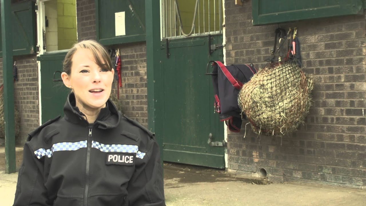 Interview with Avon and Somerset Mounted Police