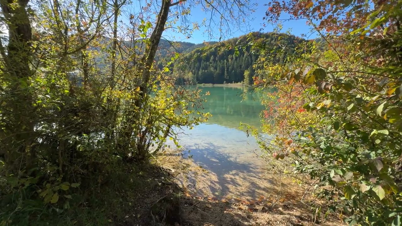 Lake Fuschl in Austria 🇦🇹 Autumn feelings on the lakeside