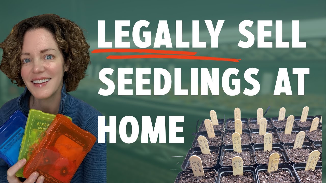 Before Your Profitable Seedling Sale, Watch THIS (Legal Requirements Explained)