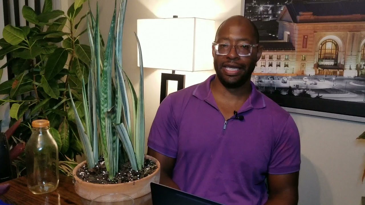 Bantel Sensation Snake Plant Review