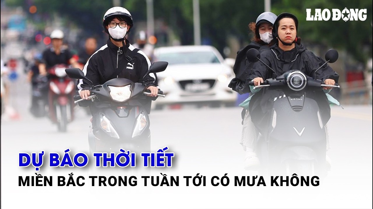 Dự báo thời tiết miền Bắc trong tuần tới có mưa không| Báo Lao Động