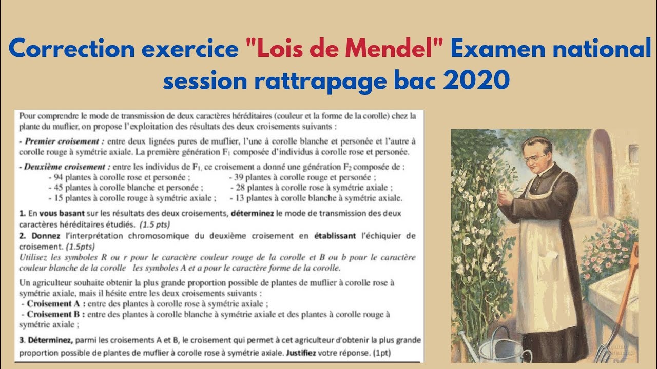 2bac: 🔥Corrigé exercice "lois de Mendel" examen national session rattrapage 2020