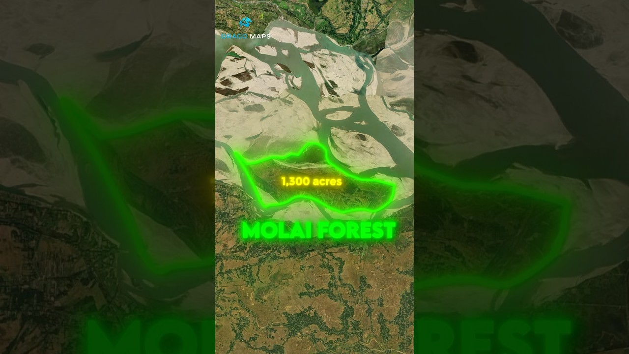 Человек, который в одиночку вырастил лес площадью 1300 акров 🌳