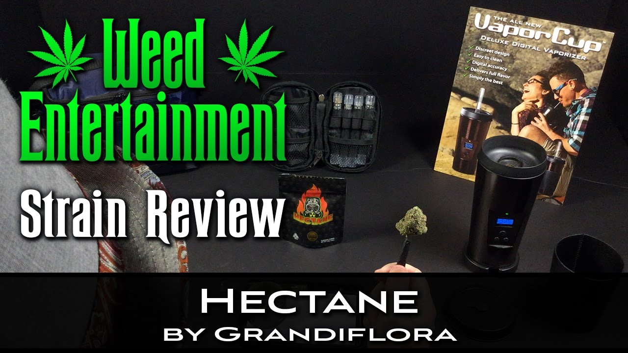 Hectane - Hybrid - by Grandiflora - Strain Review - Dr Greenthumbs, Sylmar Ca