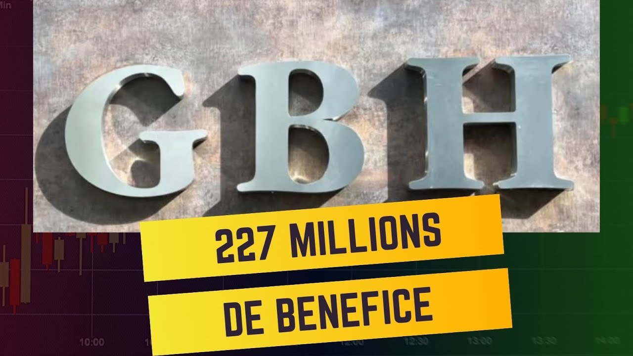 Vie chère : le groupe Bernard Hayot GBH a fait un bénéfice de 227 millions d'euros en 2023