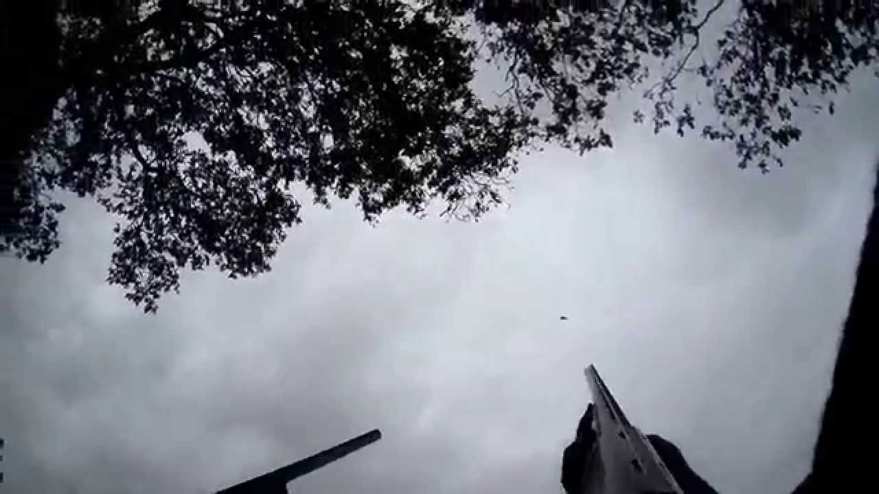 Tr&egrave;s beau tir sur un corbeau