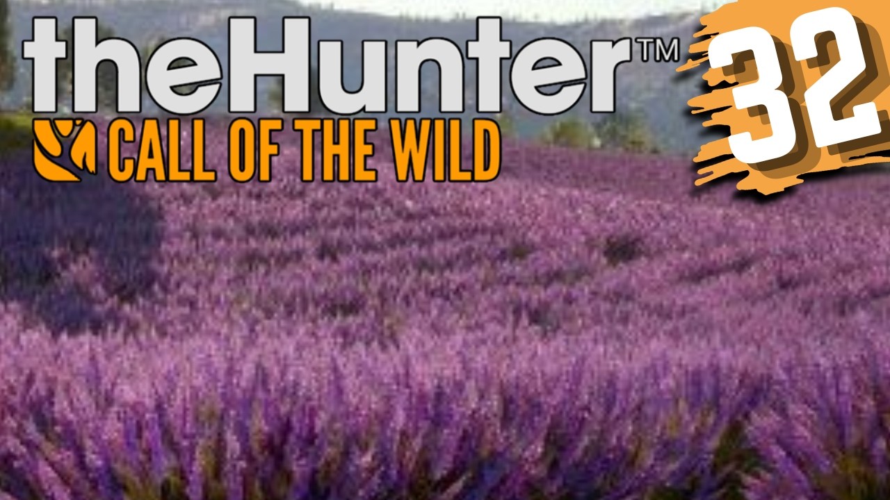 Jagen im schönen Cuatro Colinas - theHunter Sessions
