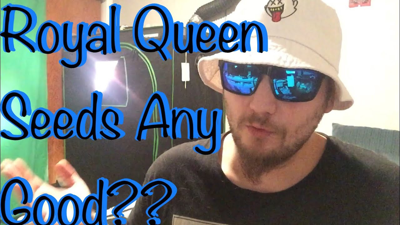 Is Royal Queen Seeds Good?