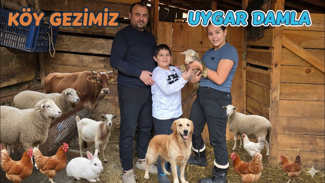 BİR GÜNÜMÜZÜ KÖYDE GEÇİRDİK/DAMLA UYGAR KUZULARI SEVDİ/HOROZ DAMLA YI KOVALADI