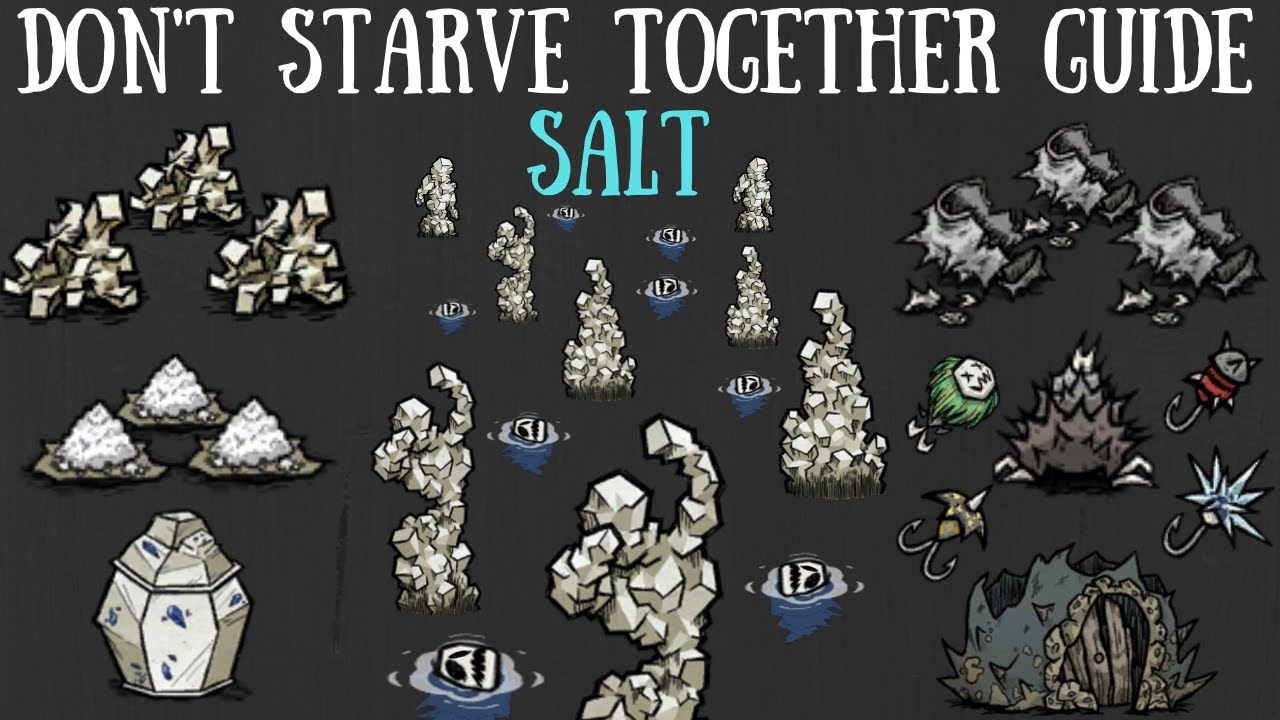 Don't Starve Together Guide: Salt