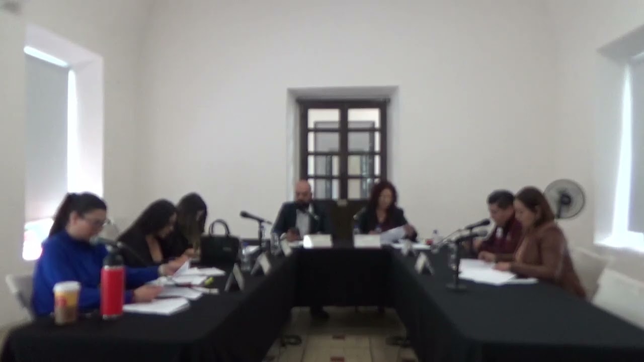 SESION ORDINARIA DE LA COMISION DE DESARROLLO SOCIAL    20 ENERO 2026