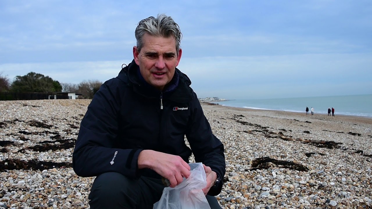 Virtual fieldtrips -  Beach Pebble Size