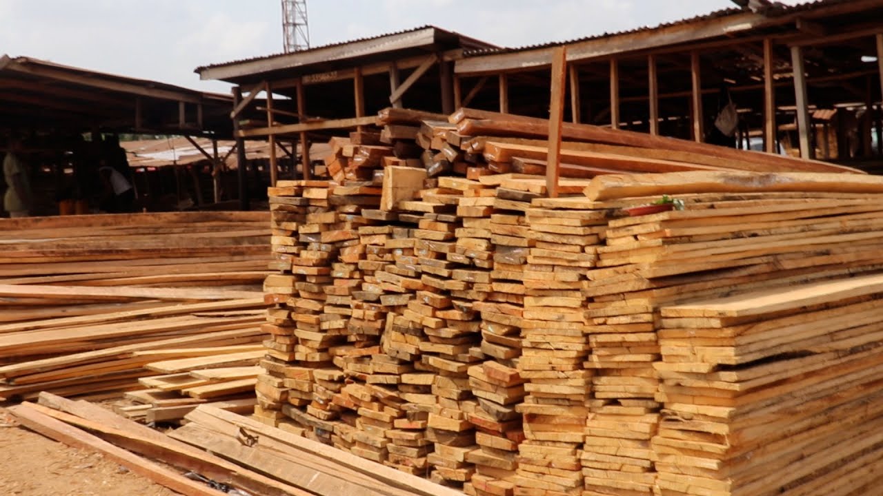 THE BIGGEST WOOD MARKET IN BENIN CITY OGIDA WOOD MARKET PRICE OF ROOFING WOOD