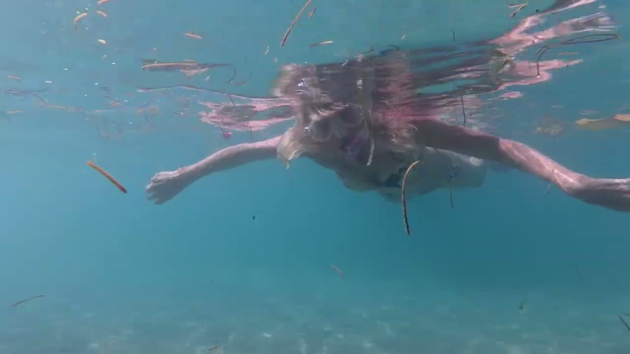 Bit of snorkeling