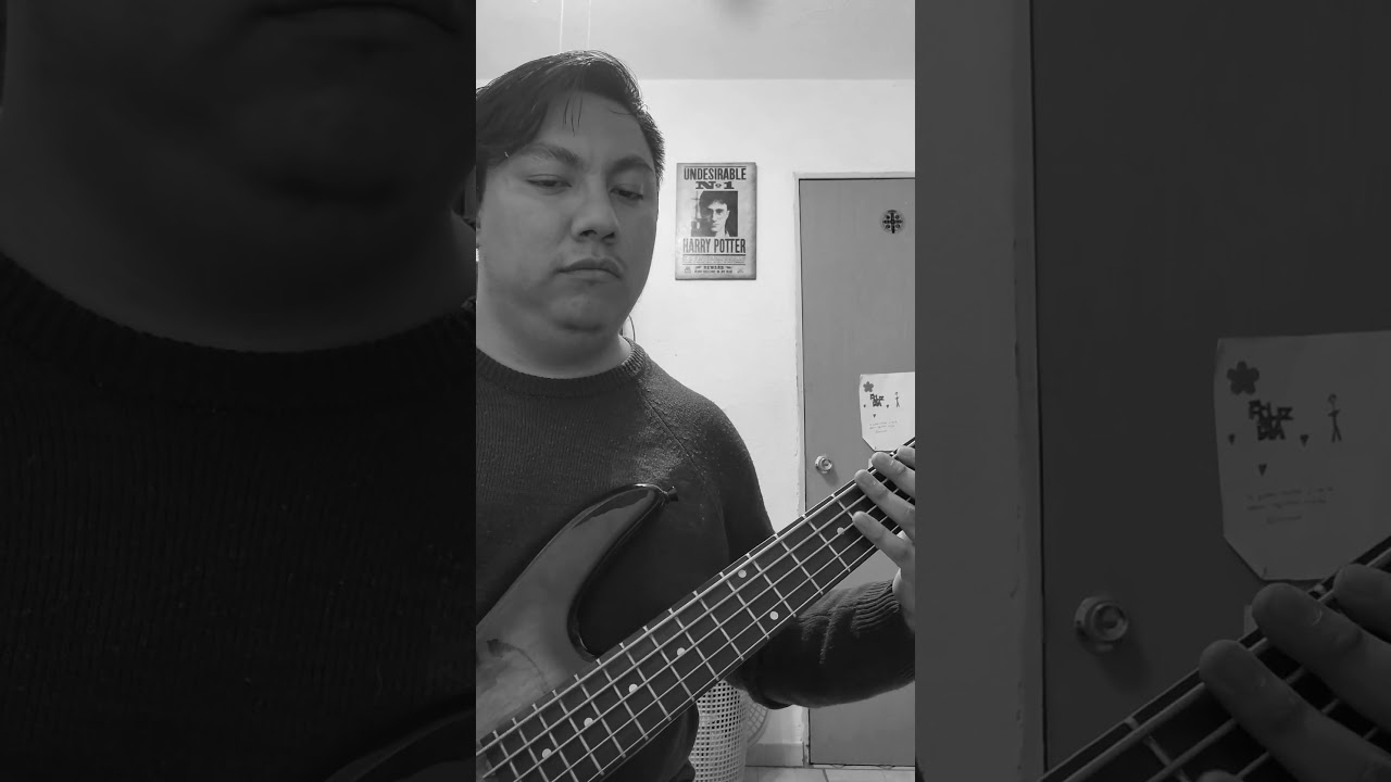 Julieta - Latin Mafia Bass Cover 