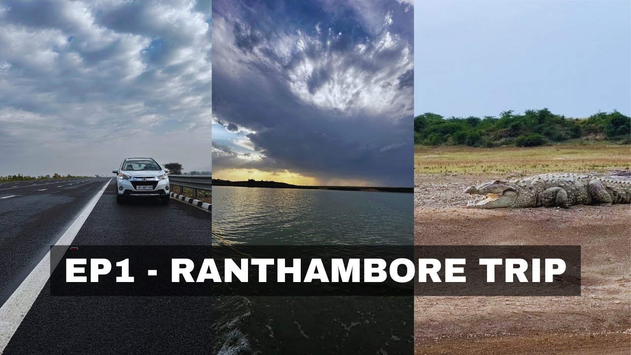 Delhi to Ranthambore via Mumbai Expressway | Crocodile Safari | Chambal Pali Ghat