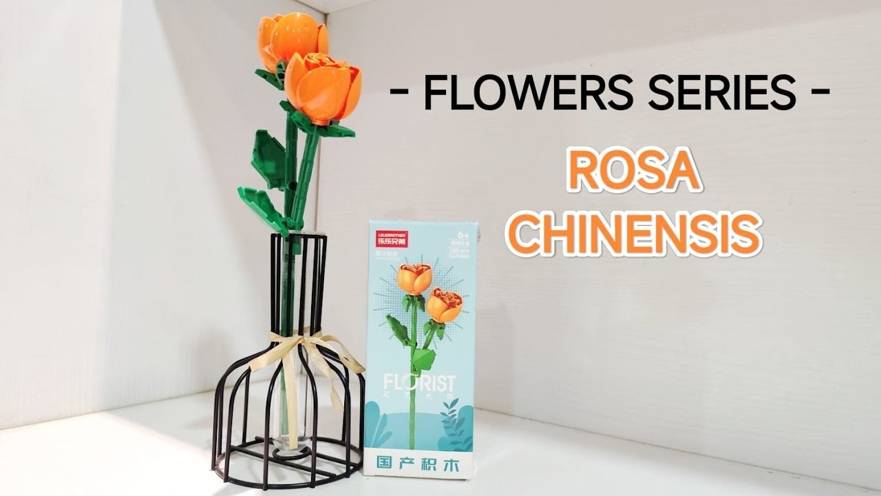 Unboxing & Build Toy Micro Brick Rosa Chinensis flower/ Mainan Micro Brick Flower series
