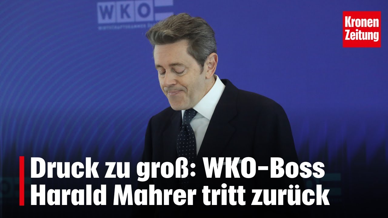Druck zu gro&szlig;: WKO-Boss Harald Mahrer tritt zur&uuml;ck | krone.tv NEWS