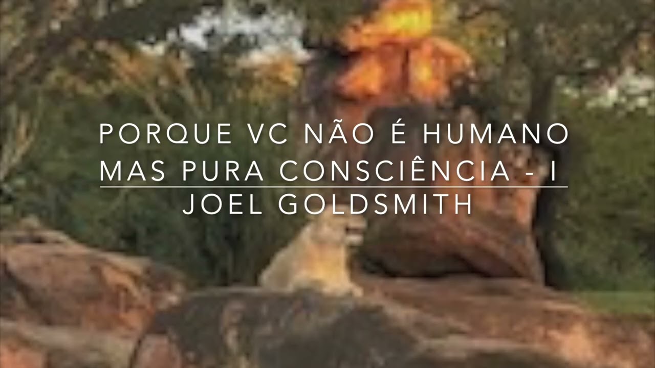 Porque Vc não É Humano mas Pura Consciência   I