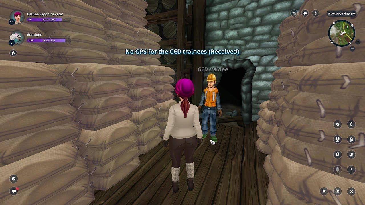 GED Trainee in the Wine Cellar Questline (No Commentary) | Star Stable Online Quest Playthrough