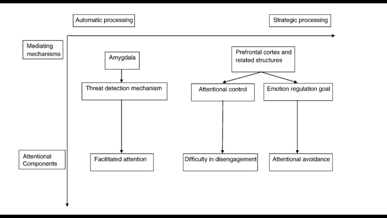 Psicopatologia Cognitiva Experimental - Seminário sobre viés atencional I