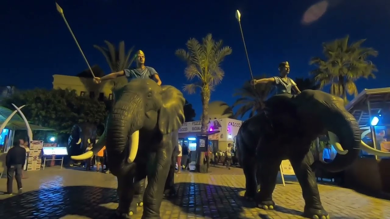TUNEZJA  2019 HOTEL PARADIS PALACE part 1